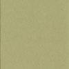 Passepartout smussato verde lime 40 taglie Verde Alga