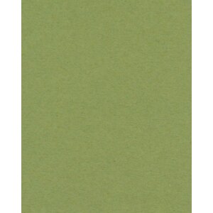 Passepartout smussato verde 40 taglie Verde Salvia