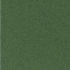 Verdone smussato passepartout verde 40 misure