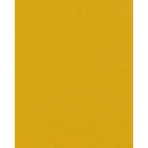 Passepartout Giallo Maize 40 taglie giallo