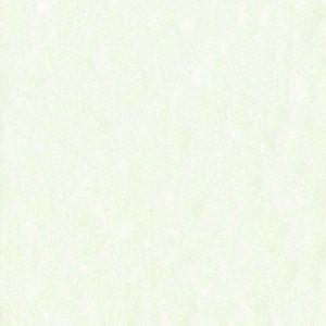 Passepartout Perg Verdino 40 taglie - verde lime