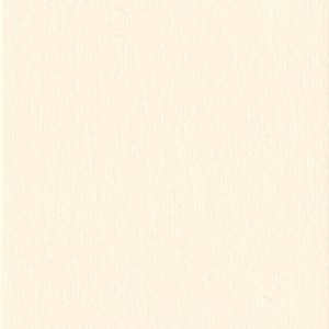 Passepartout Conchiglia 40 taglie scamosciate
