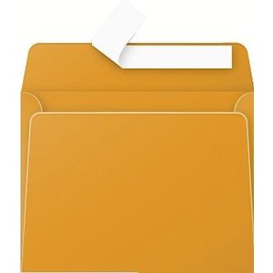 Busta Polline 20 pezzi di diverse dimensioni e colori