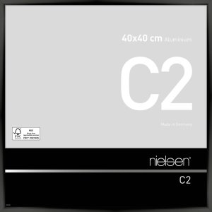 Telaio Nielsen in alluminio C2 40x40 cm anodizzato nero...