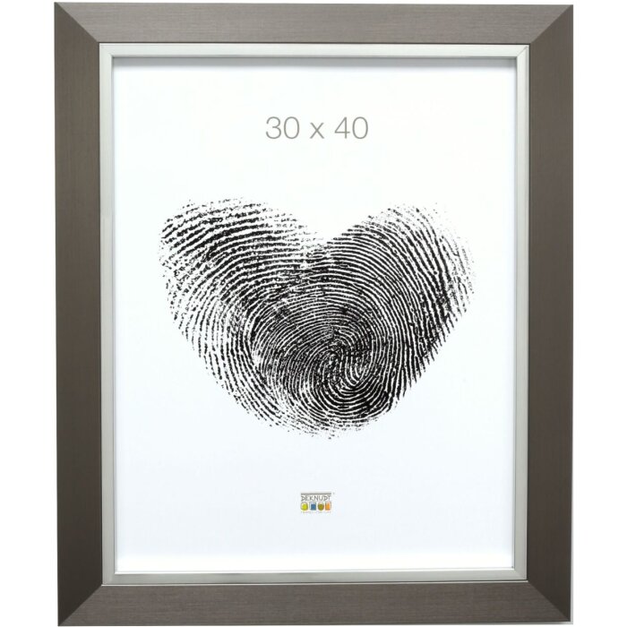 Telaio in plastica S41N acciaio-argento 18x24 cm