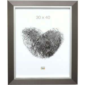 Telaio in plastica S41N acciaio-argento 30x40 cm
