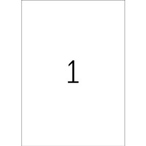 Etichette A4 foglio adesivo esterno bianco 210x297 mm foglio opaco 10 pz.