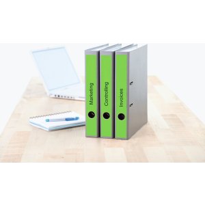 Etichette per cartelle A4 verde 38x297 mm carta opaca 100 pz.