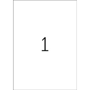Etichette Inkjet A4 bianche 210x297 mm resistenti alle...