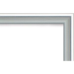 Galeria cornice in plastica 50x75 cm argento