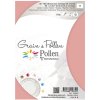Confezione da 5 cartoncini Grain de Pollen 105x148 mm Polvere di corallo