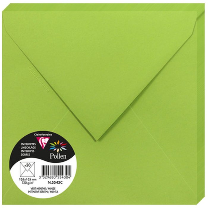 Buste menta 165x165 mm - 5543C