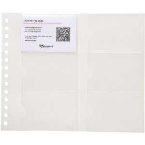 Confezione da 10 inserti per Exacard 75134E
