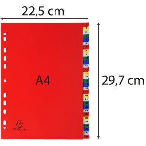 Registro in PP colorato con numeri stampati 31 pezzi