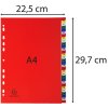 Registro in PP colorato con numeri stampati 31 pezzi