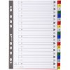 Registro colorato in PP con stampa alfabetica