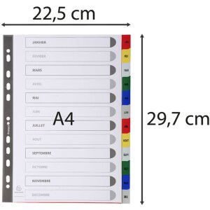 Registro din a4 con 12 schede