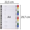 Registro din a4 con 12 schede