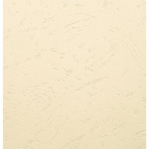 Confezione da 100 - Evercover A4 270g Avorio