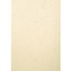 Confezione da 100 - Evercover A4 270g Avorio