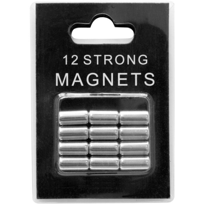 12 magneti dargento in confezione blister