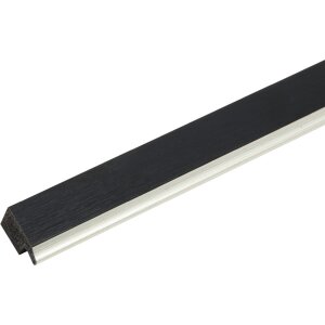 Cornice in plastica S46A nera con argento 13x18 cm