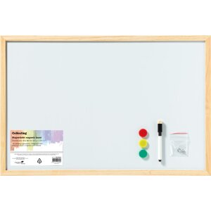 Lavagna magnetica 40x60 cm con penna e calamite