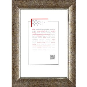 Cornice di legno Ade 10x15 cm argento