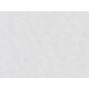 HNFD 20 divisori per scatole fotografiche Bianco Naturale per scatole fotografiche 10x15 cm