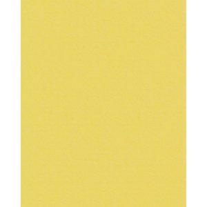 HNFD 20 divisori per scatole fotografiche Giallo per scatole fotografiche 10x15 cm