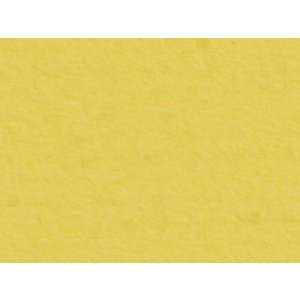 HNFD 20 divisori per scatole fotografiche Giallo per scatole fotografiche 10x15 cm