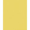 HNFD 20 divisori per scatole fotografiche Giallo per scatole fotografiche 10x15 cm