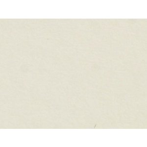 HNFD 20 divisori per scatole fotografiche Avorio Liscio per scatole fotografiche 10x15 cm
