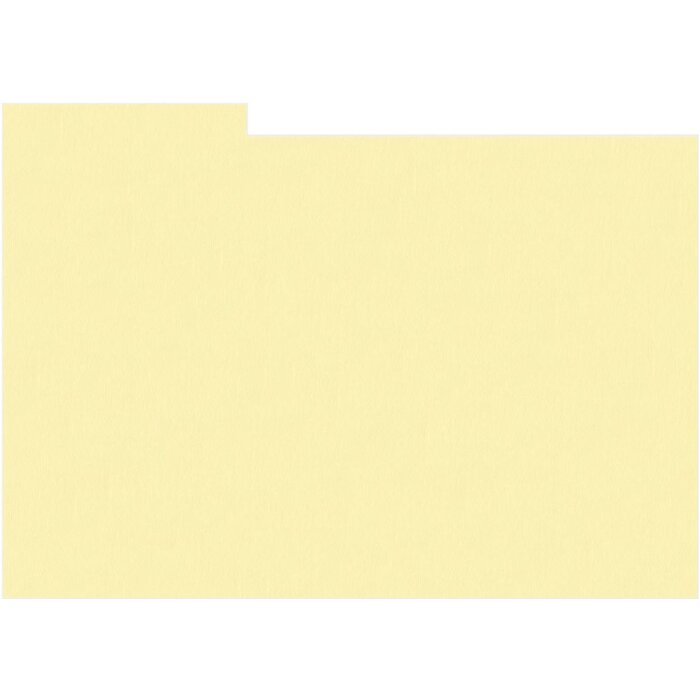HNFD 20 divisori per scatole fotografiche Crema per scatole fotografiche 10x15 cm