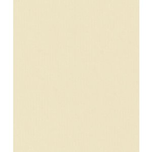 HNFD 20 divisori per scatole fotografiche Crema per scatole fotografiche 10x15 cm