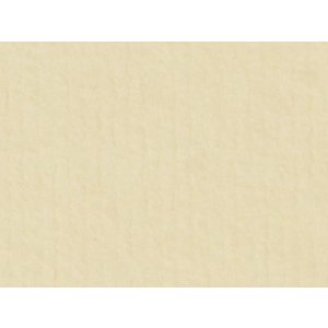 HNFD 20 divisori per scatole fotografiche Crema per scatole fotografiche 10x15 cm