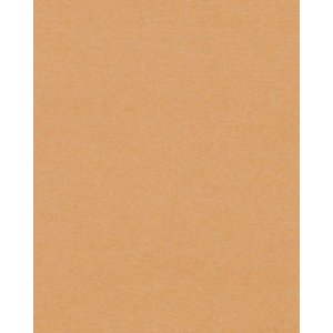 HNFD 20 divisori per scatole fotografiche Noce per scatole fotografiche 10x15 cm