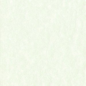 HNFD 20 Divisori per scatole fotografiche Perg Verdino per scatole fotografiche 10x15 cm