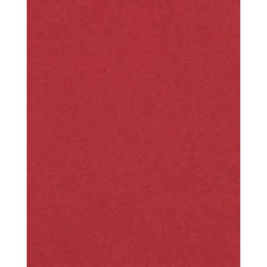 HNFD 20 divisori per scatole fotografiche Rosso Cardinale per scatole fotografiche 10x15 cm