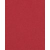 HNFD 20 divisori per scatole fotografiche Rosso Cardinale per scatole fotografiche 10x15 cm