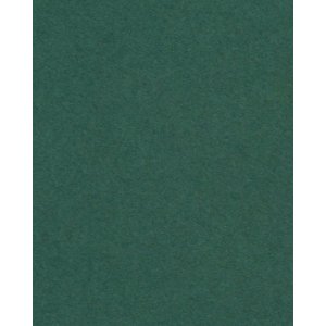 HNFD 20 divisori per scatole fotografiche Verdone per scatole fotografiche 10x15 cm