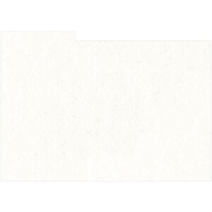 HNFD 20 Divisori per scatole fotografiche Bianco per...