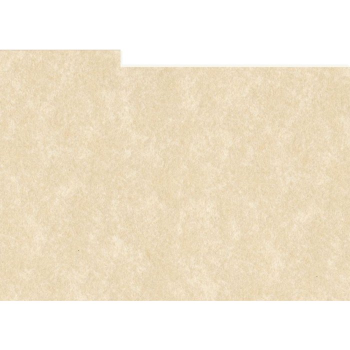 HNFD 20 Divisori per scatole fotografiche Perg Avorio Antico per scatole fotografiche 10x15 cm