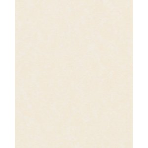 HNFD 20 Divisori per scatole fotografiche Perg Avorio Antico per scatole fotografiche 10x15 cm