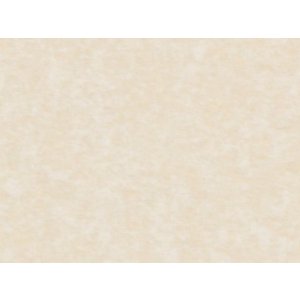 HNFD 20 Divisori per scatole fotografiche Perg Avorio Antico per scatole fotografiche 10x15 cm