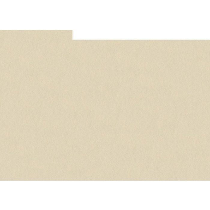 HNFD 20 divisori per scatole fotografiche Panna per scatole fotografiche 10x15 cm