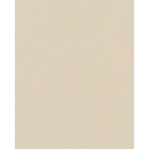 HNFD 20 divisori per scatole fotografiche Panna per scatole fotografiche 10x15 cm