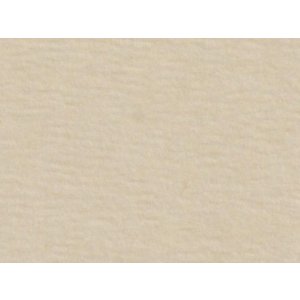 HNFD 20 divisori per scatole fotografiche Panna per scatole fotografiche 10x15 cm