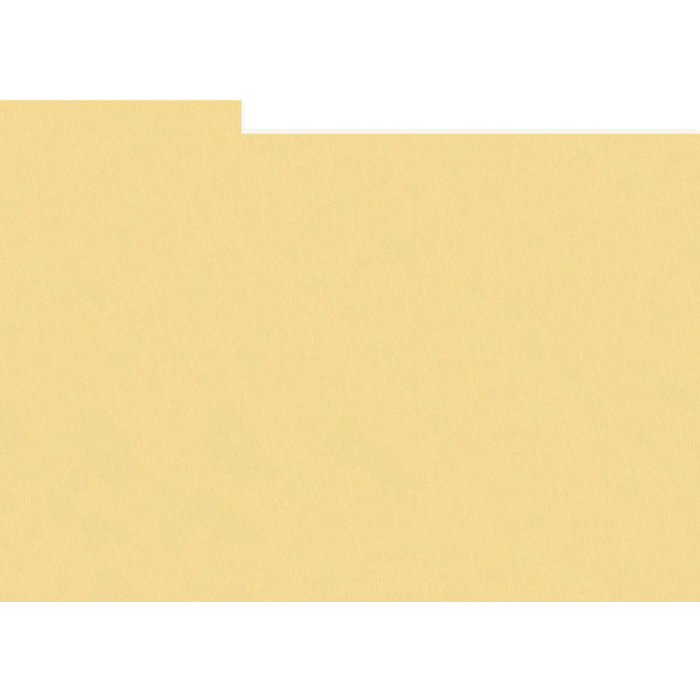 HNFD 20 divisori per scatole fotografiche Paglierino per scatole fotografiche 10x15 cm