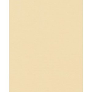 HNFD 20 divisori per scatole fotografiche Paglierino per scatole fotografiche 10x15 cm
